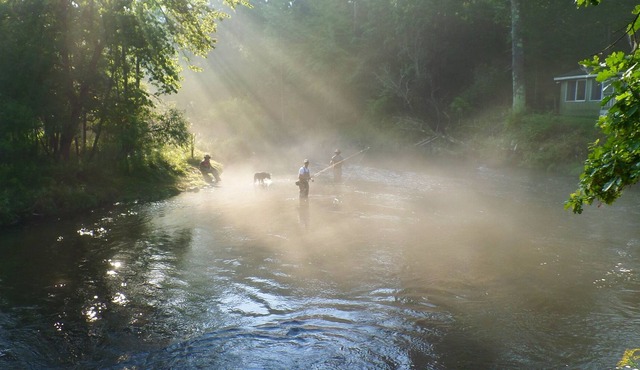 Pere Marquette River 'fly's Only Section' 6000 Feet Of River Frontage