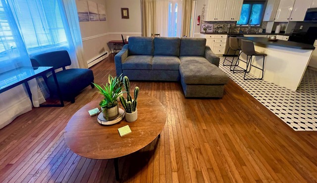 Quiet Pet-Friendly Apt With Large Private Balcony w/high speed internet