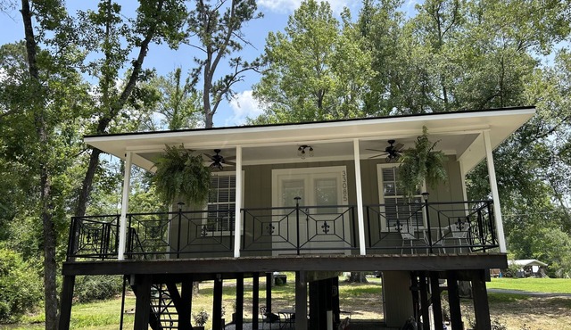 Renovated 2br in Springfield - close to Natalbany River