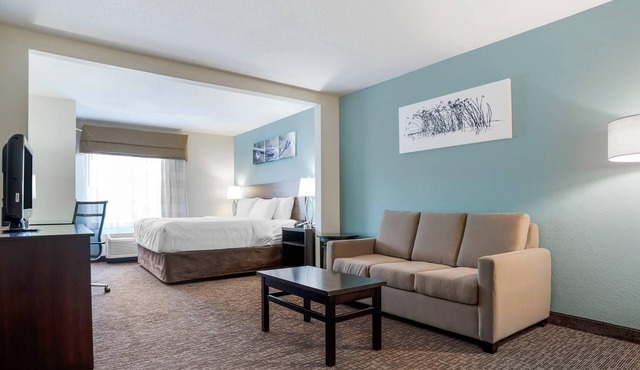 Sleep Inn & Suites Auburn Campus Area I-85