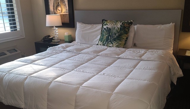 Sole Inn and Suites