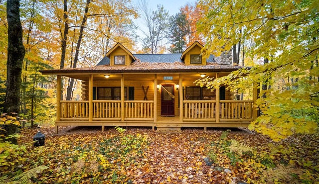 Super Cozy, A/C, steps from trails, kid friendly