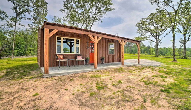 Updated Studio Cabin in Ozark w/Yard & Mtn View