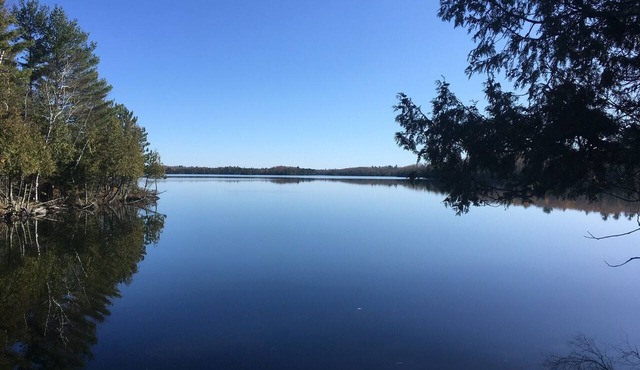 Very Private cabin on Eagles Nest Lake 3 in Ely