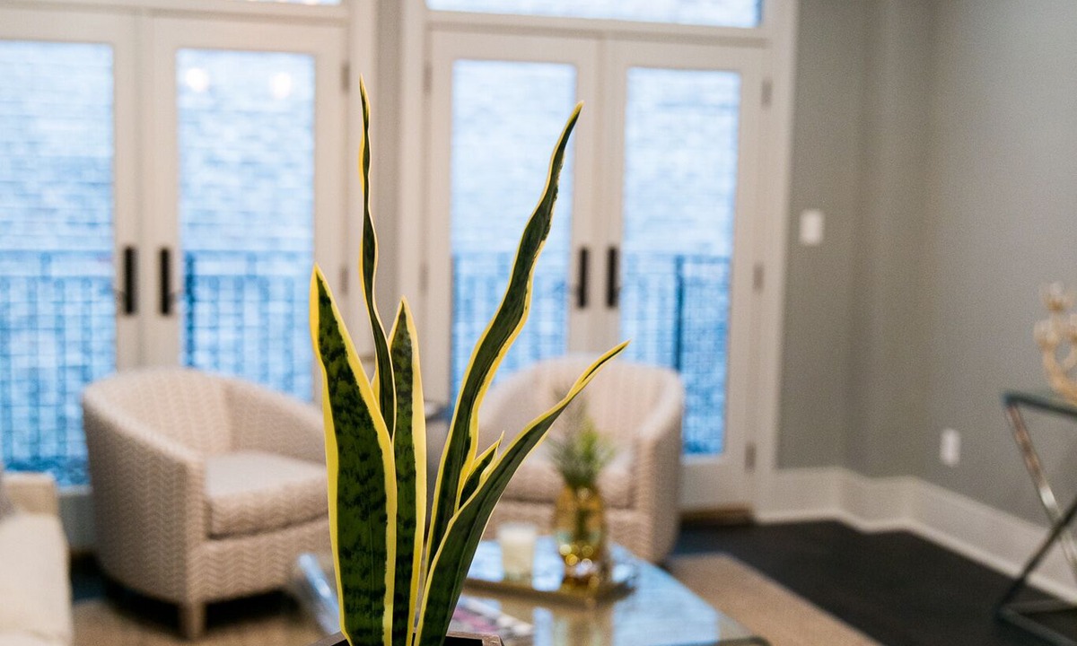Central Business District Hotel | Modern Comfort: Stylish & Cozy Retreat in New Orleans' CBD