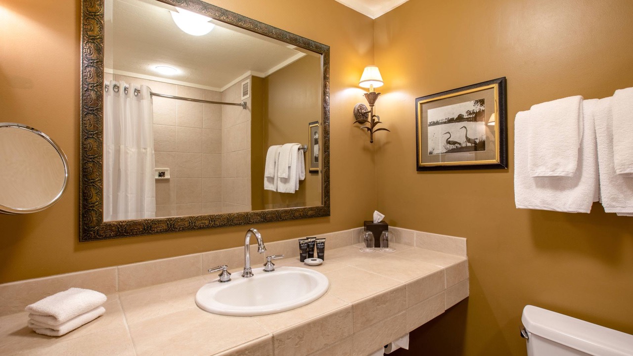 Photo of Bathroom in Celebration