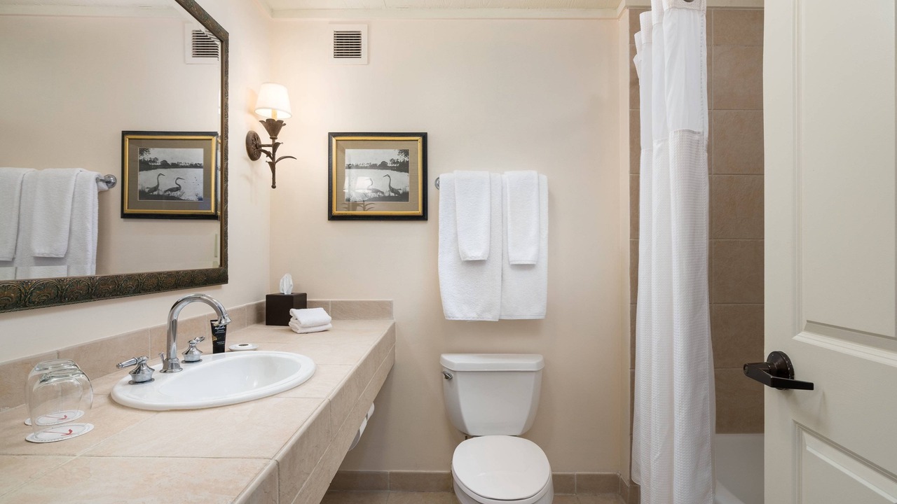 Photo of Bathroom in Celebration