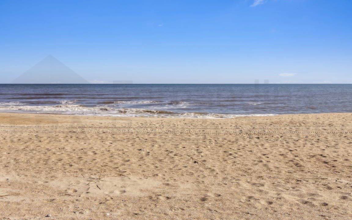 Photo of Others in Fernandina Beach