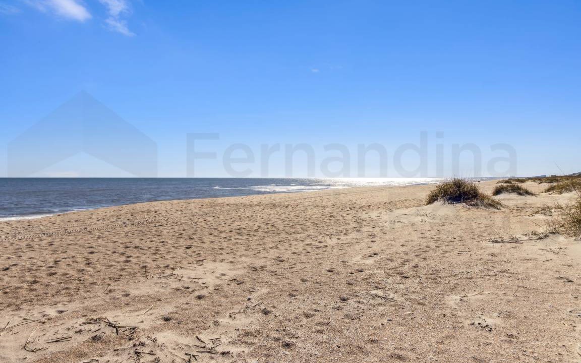 Photo of Others in Fernandina Beach