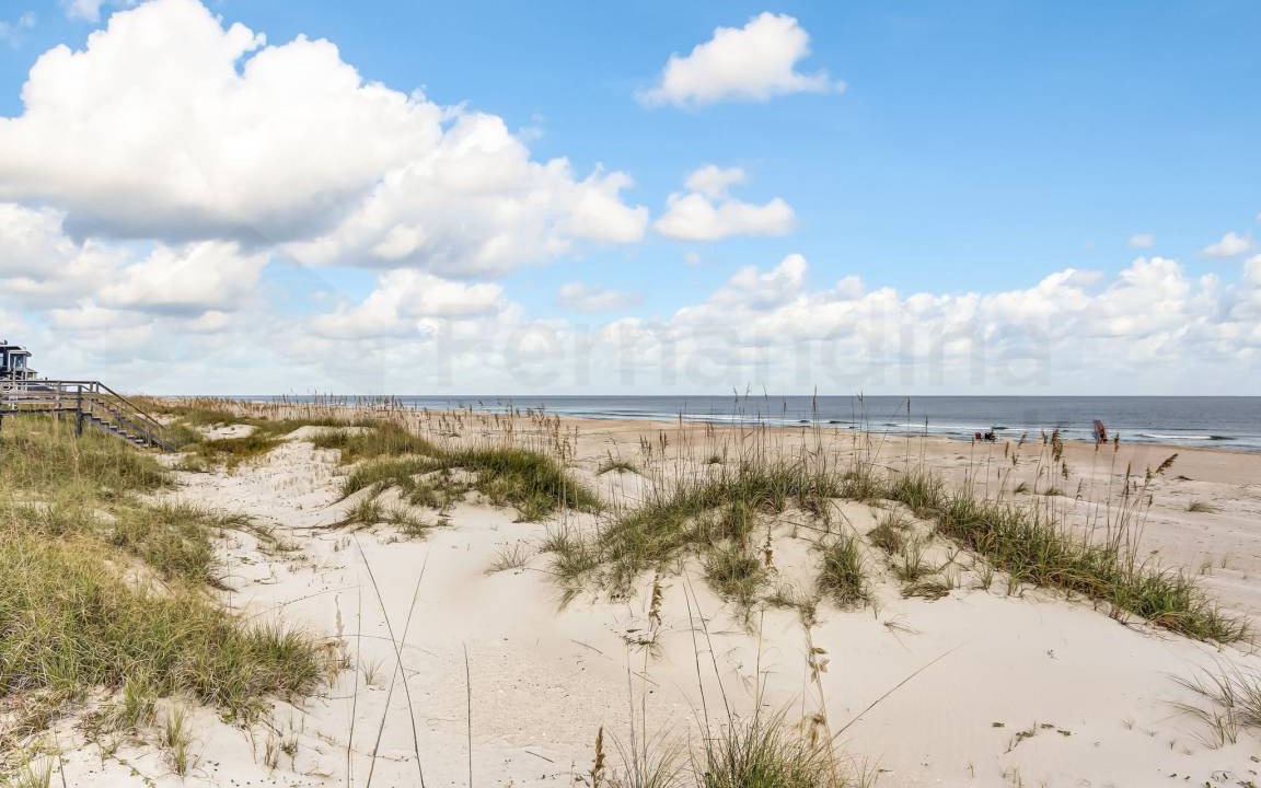 Photo of Others in Fernandina Beach