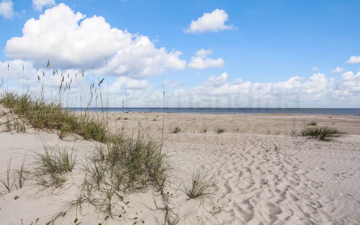 Photo of Others in Fernandina Beach