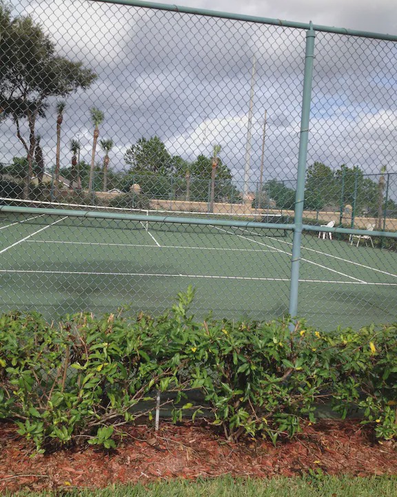 Photo of Others in Loma Vista
