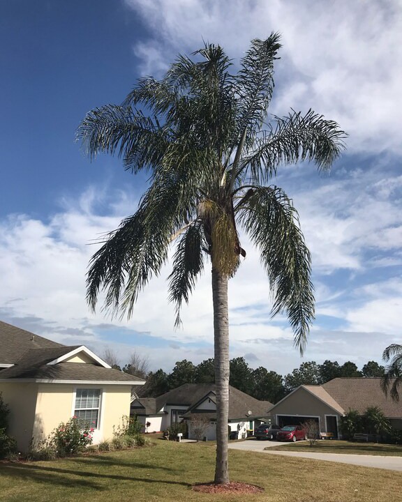 Photo of Buildings in Loma Vista