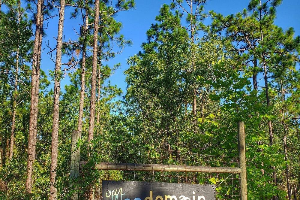 Photo of Outdoor in Edgar