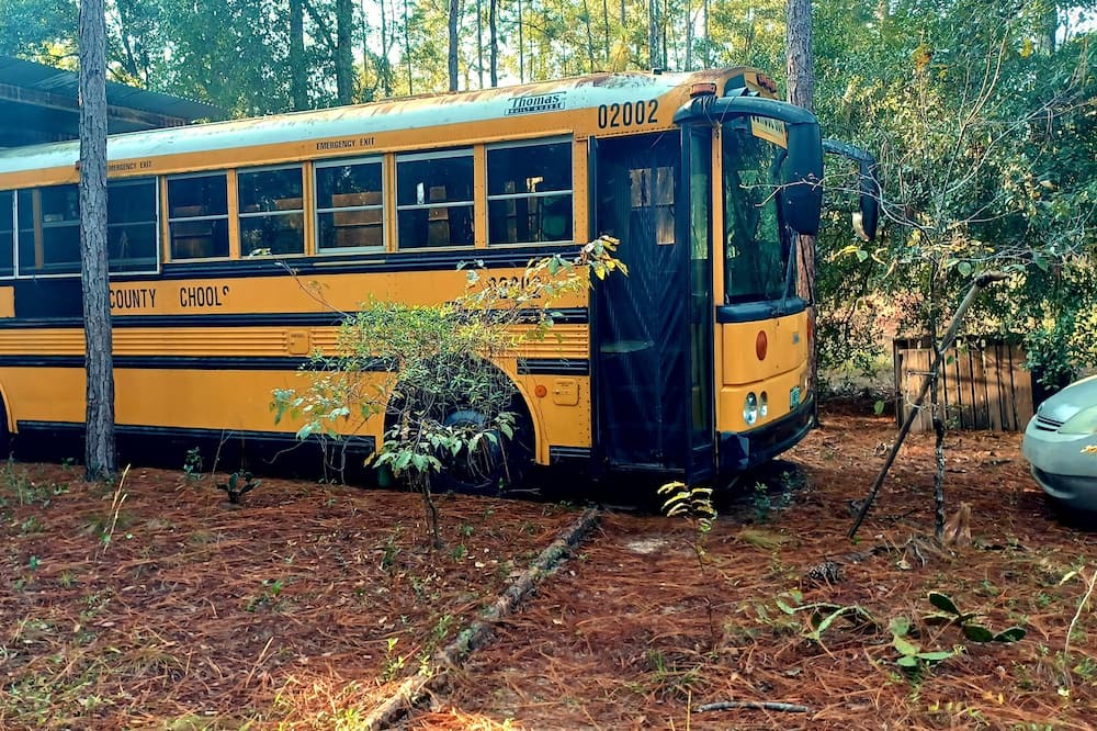 Photo of Outdoor in Edgar
