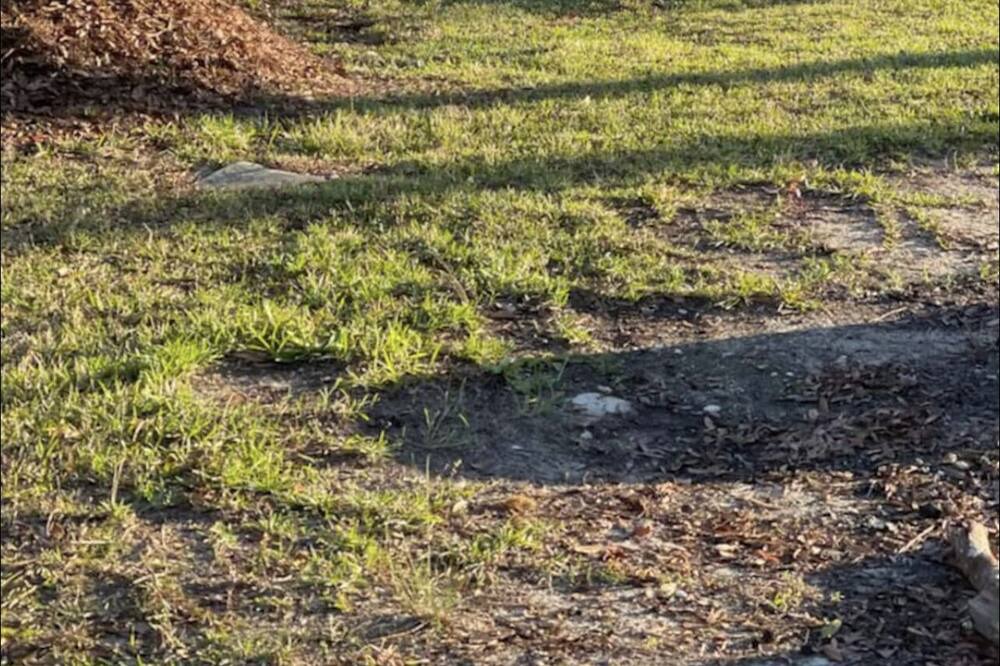 Photo of Outdoor in Albany