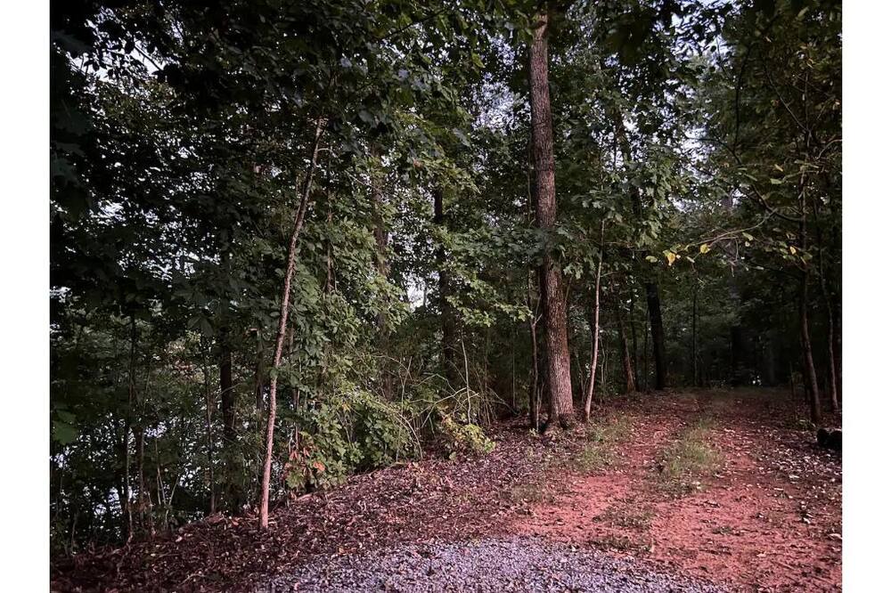 Photo of Outdoor in Fackler