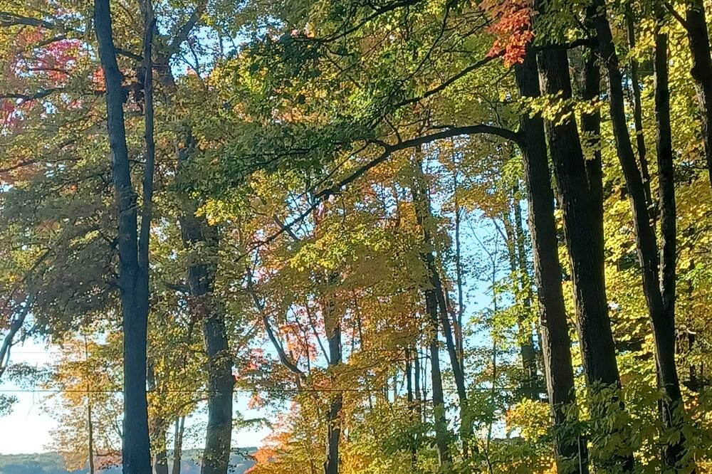 Photo of Outdoor in Baldwin