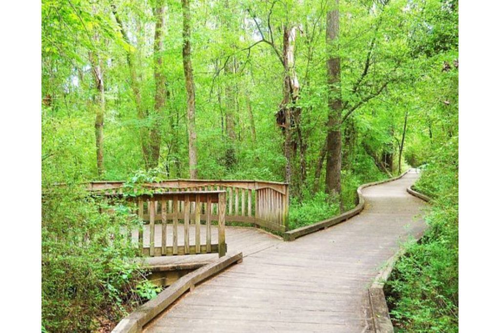 Photo of Outdoor in Grovetown