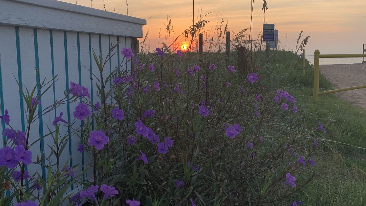 Photo of Outdoor in Vilano Beach