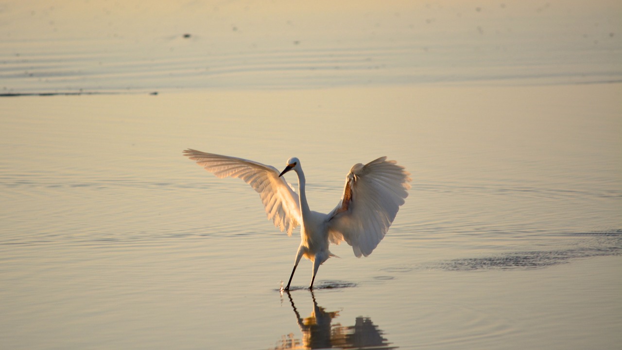 Photo of Others in Vilano Beach