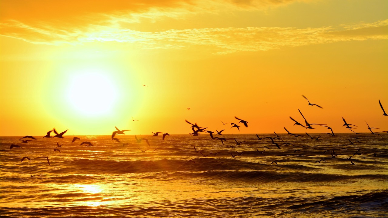Photo of Others in Vilano Beach