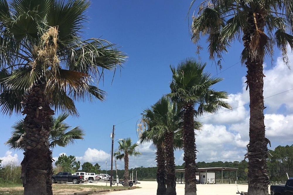Photo of Outdoor in Theodore