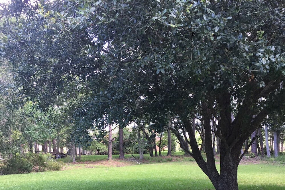 Photo of Outdoor in Theodore