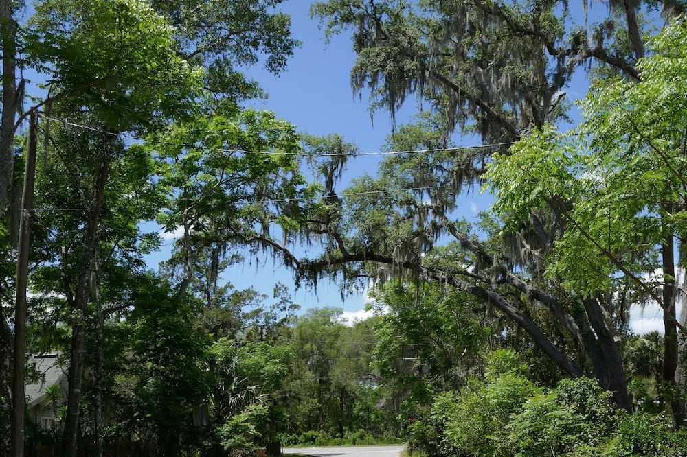 Photo of Outdoor in Blue Lake