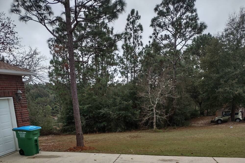 Photo of Outdoor in Crestview