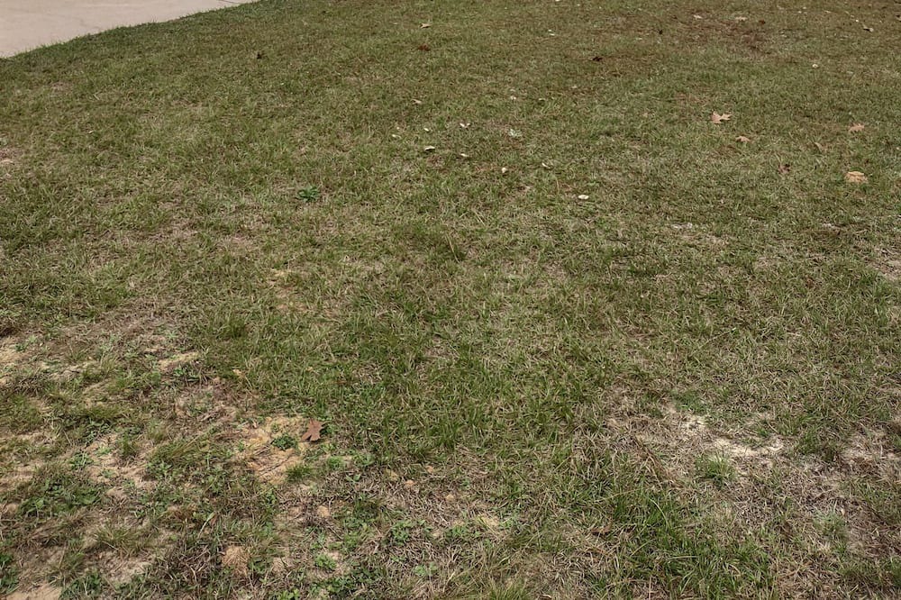 Photo of Outdoor in Crestview