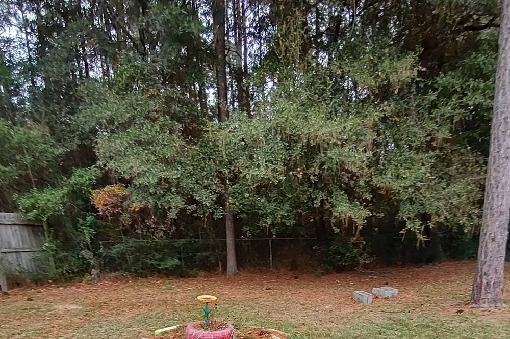 Photo of Outdoor in Crestview
