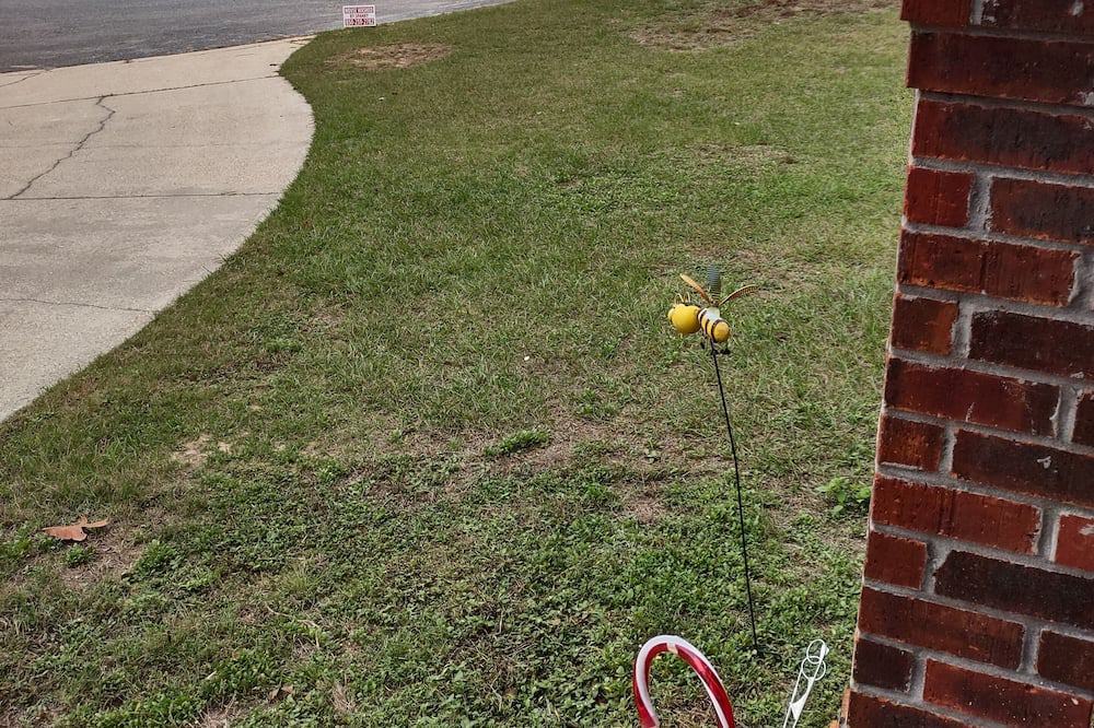 Photo of Outdoor in Crestview