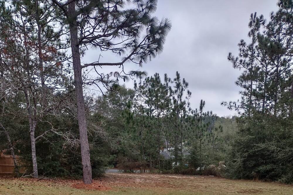 Photo of Others in Crestview