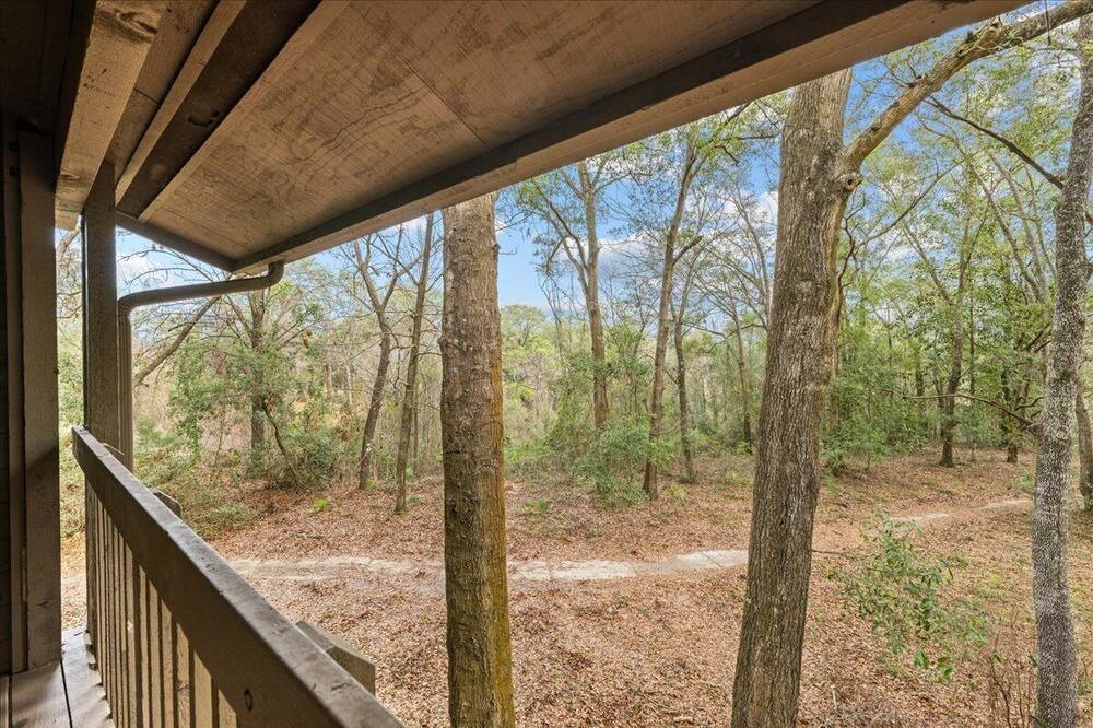 Photo of Outdoor in Middleburg