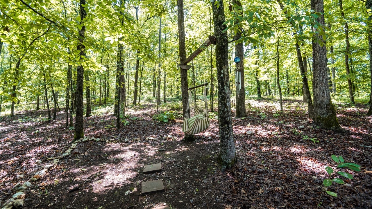 Photo of Outdoor in Dadeville