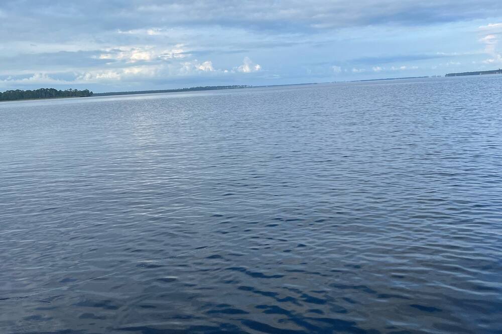 Photo of Others in Elberta