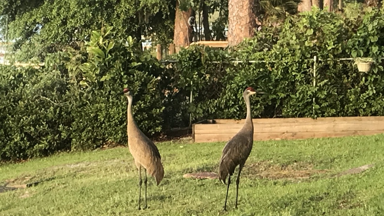 Photo of Others in Interlachen