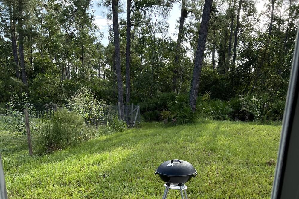 Photo of Outdoor in DeLand