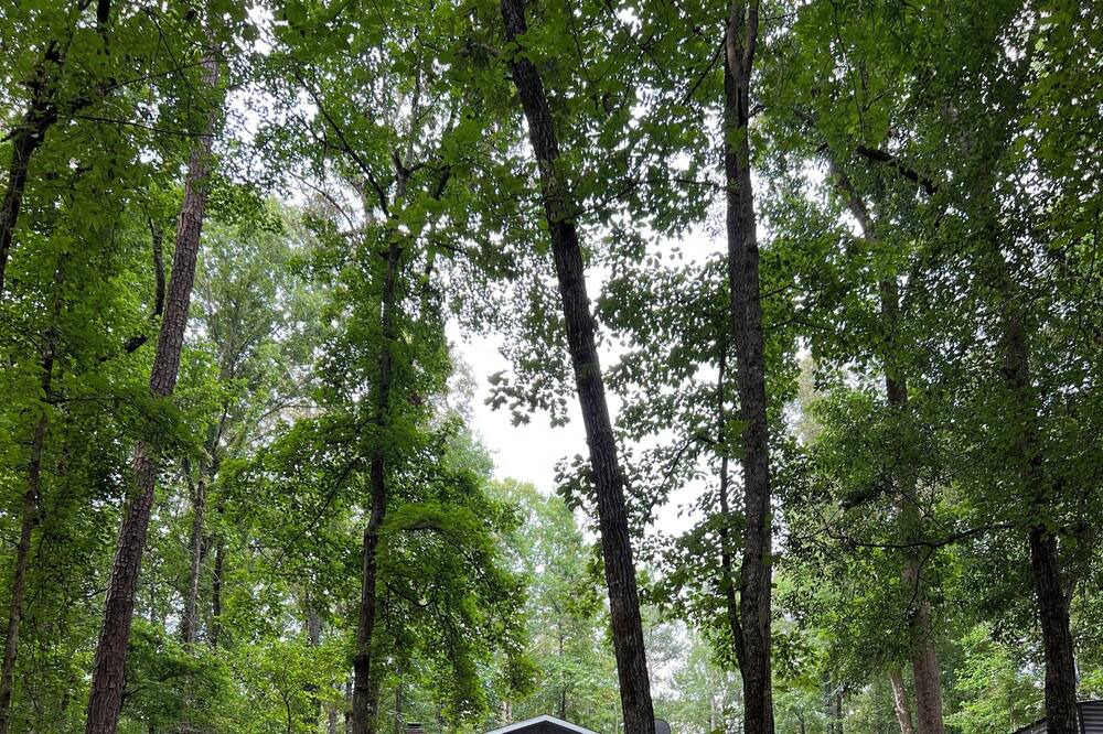 Photo of Outdoor in LaGrange