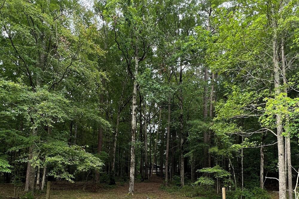 Photo of Outdoor in LaGrange