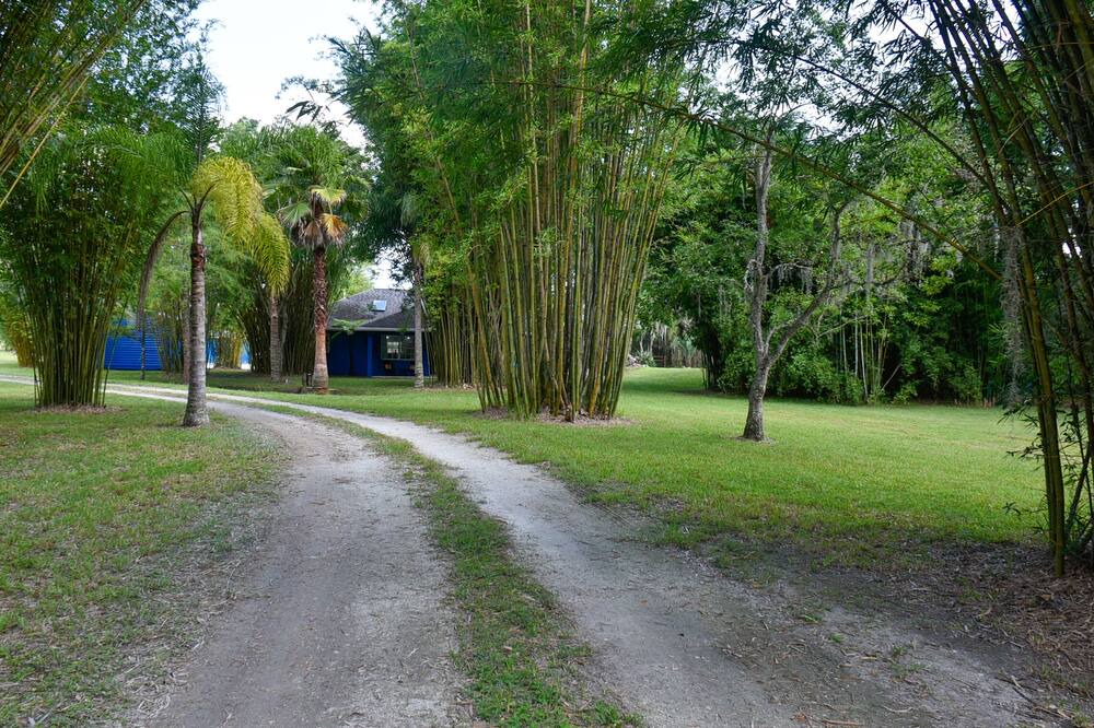 Photo of Outdoor in East Palatka