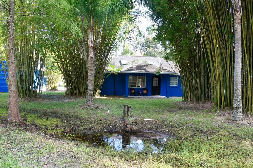 Photo of Outdoor in East Palatka