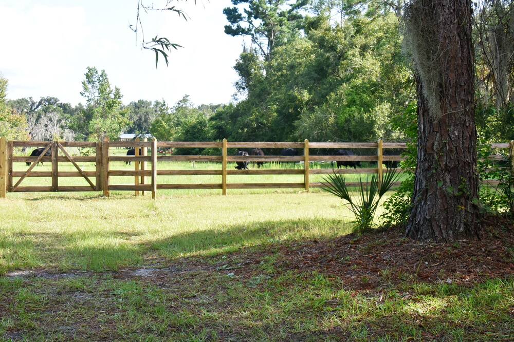 Photo of Outdoor in East Palatka