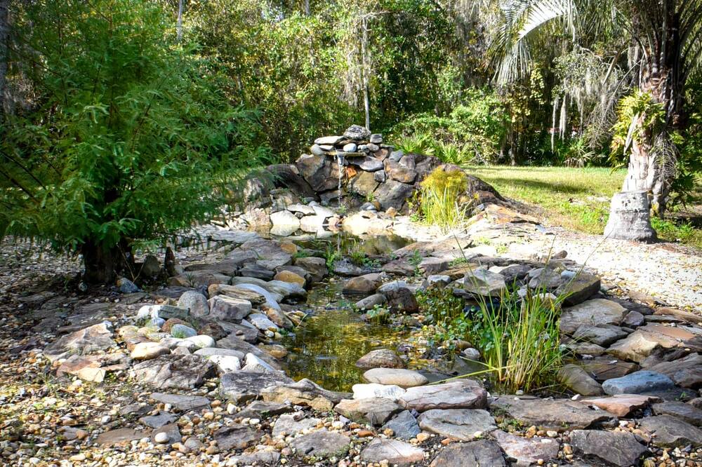 Photo of Outdoor in East Palatka