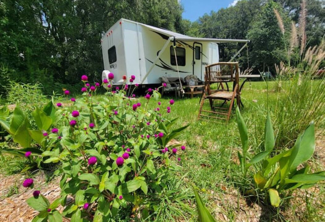 Photo of Outdoor in Live Oak