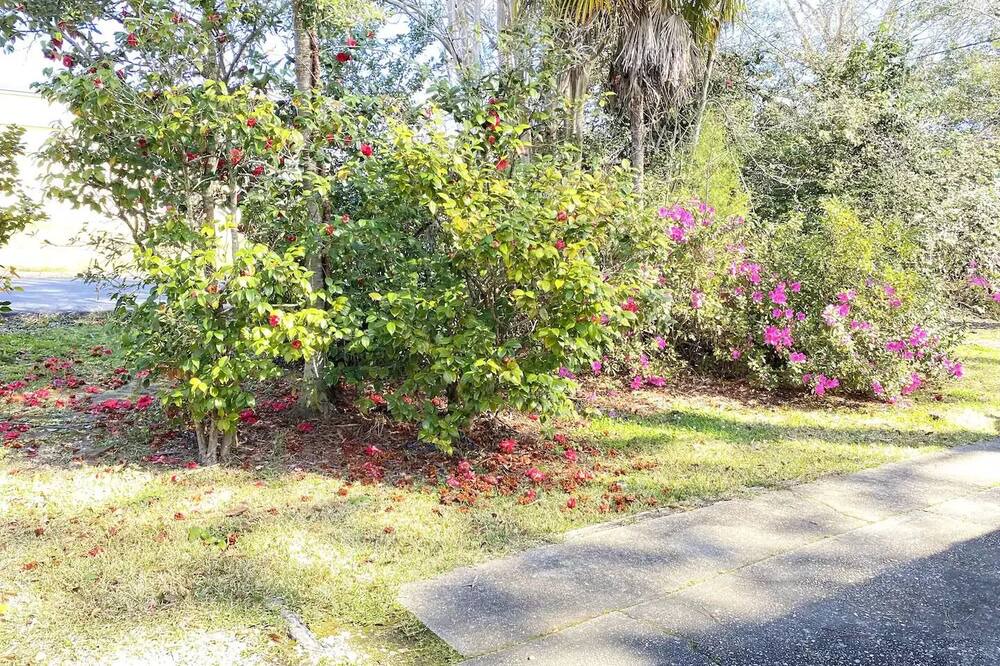 Photo of Outdoor in Hattiesburg