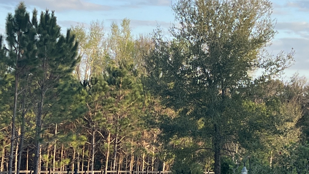 Photo of Outdoor in Eustis