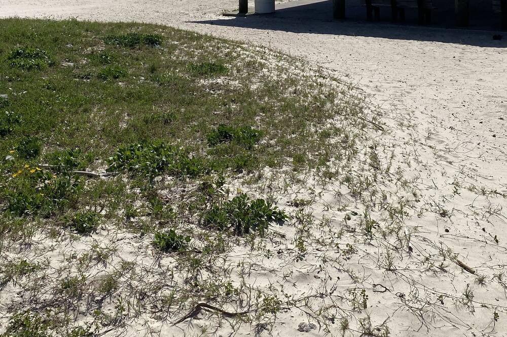 Photo of Others in Waveland