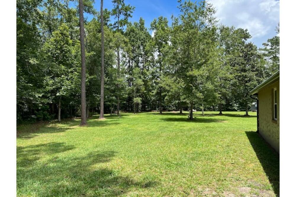 Photo of Outdoor in Middleburg